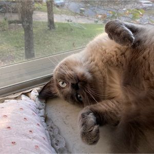 Meet your Posher, Caroline